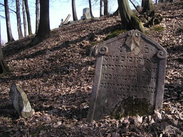 Lápida Judía Del Cementerio Judío — Foto de Stock