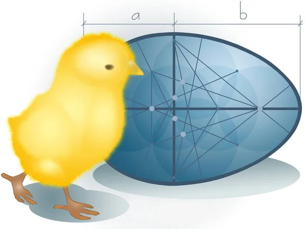 Kurczaka Badanie Geometryczne Projektowanie Jaj Rysunek Photoshop — Zdjęcie stockowe