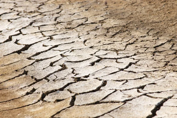 Ξηρό Χωράφι Σπασμένο Καλυμμένο Αλάτι Φόντο Προοπτικής Επιλεκτική Εστίαση — Φωτογραφία Αρχείου