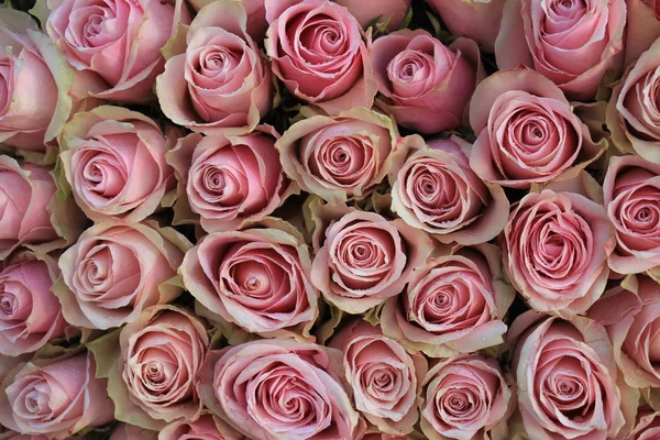 Grandes Rosas Rosadas Una Decoración Floral Boda — Foto de Stock