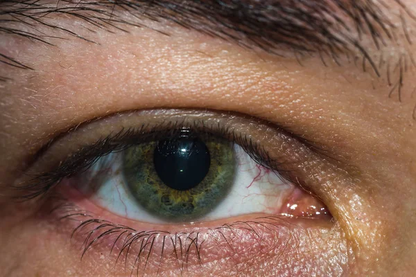 Los Ojos Del Hombre Primer Plano Macro Foto Los Ojos — Foto de Stock