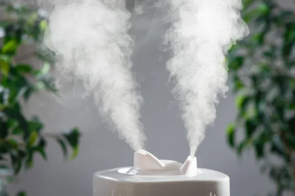 Humidificateur Ultrasons Dans Maison Humidification Vapeur — Photo