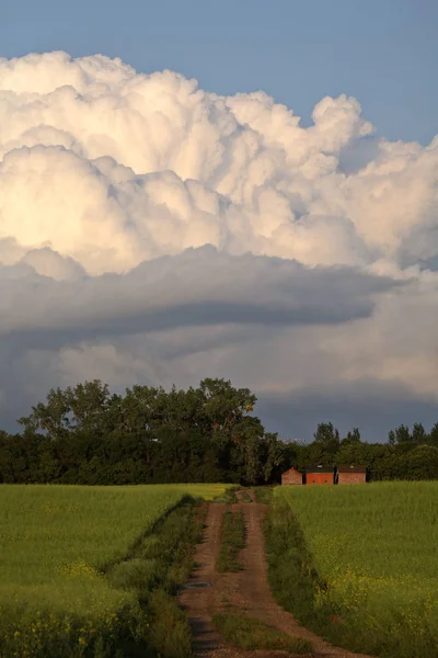 Thunderhead Σύννεφα Σχηματίζουν Στο Γραφικό Saskatchewan — Φωτογραφία Αρχείου