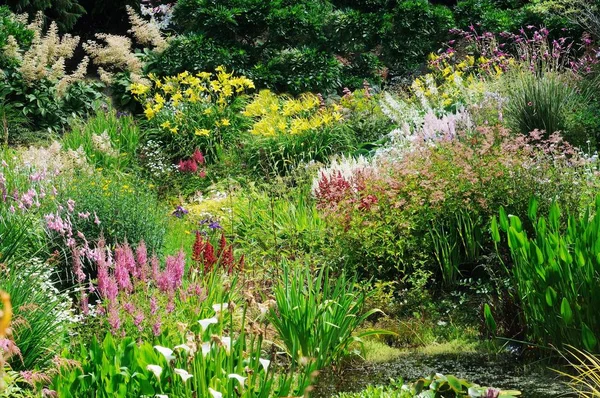 Garten Szene Resonanz Auf Einen Solchen Anblick Auf Der Ganzen — Stockfoto