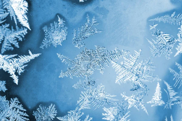 冬の窓に霜模様 — ストック写真