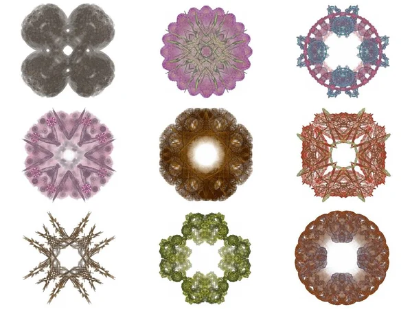 Conjunto Diferentes Patrones Color Fractal Abstracto —  Fotos de Stock