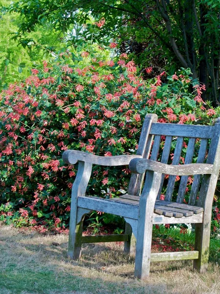 Botanická Zahrada Atlanta Jaře — Stock fotografie