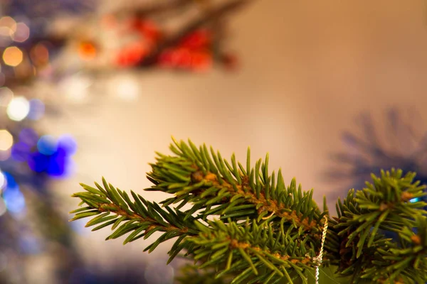 Der Zweig Weihnachtsbäume Abstrakter Hintergrund Festliches Lametta — Stockfoto