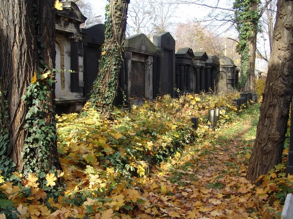 Antiguo Histórico Cementerio Judío Bytom Alta Silesia Polonia — Foto de Stock