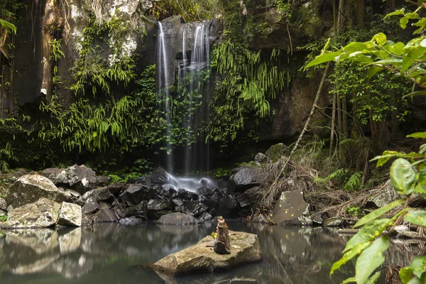 Curtis Falls Wodospad Mount Tambourine Wodospad Znajduje Się Głębi Lądu — Zdjęcie stockowe