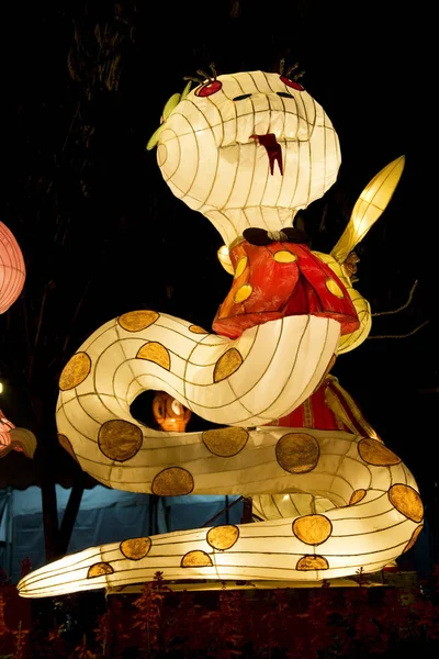 Obrázek Čínské Zvěrokruhu Lucerny Zachycující Hada Viděný Čínský Chrám Dong — Stock fotografie