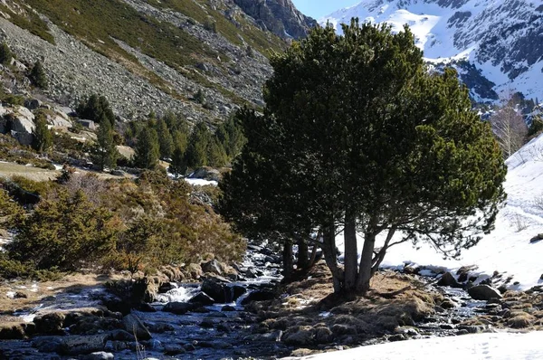 Río Congelado Andorra Vella —  Fotos de Stock