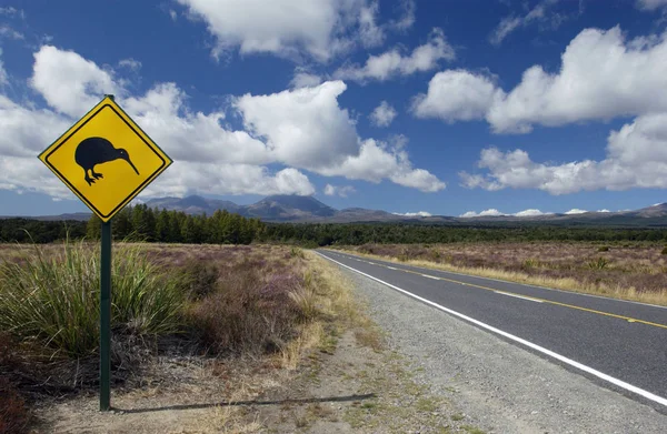 Yeni Zelanda Kivi Işareti — Stok fotoğraf