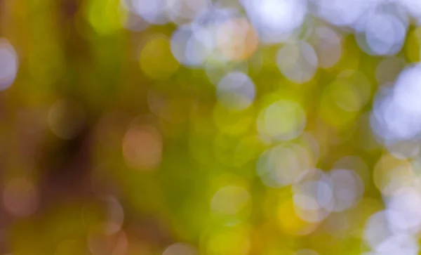 Bokeh Blurred Out Focus Background — Stock Photo, Image