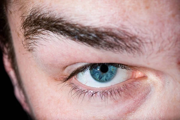 Macro close-up of a man eye ball