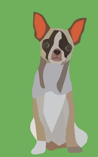 かわいい犬チワワのベクトル — ストック写真