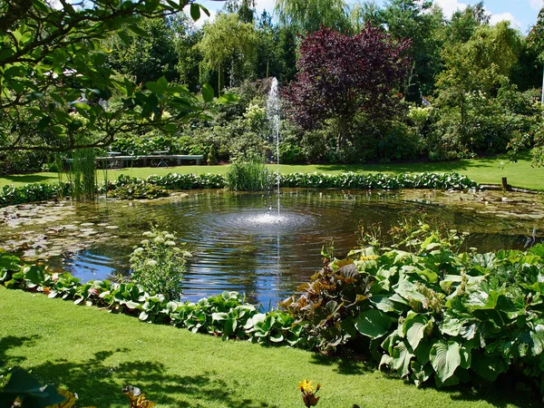 Estanque Ornamental Fuente Agua Hermoso Jardín Exuberante Creativo Florecimiento Verde — Foto de Stock