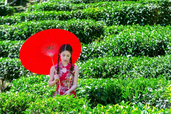 Mulher Asiática Vestindo Vestido Chinês Tradicional Guarda Chuva Vermelho Campo — Fotografia de Stock