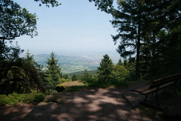 Panorama Sobre Paisaje Alsacia Durante Las Vacaciones Verano — Foto de Stock