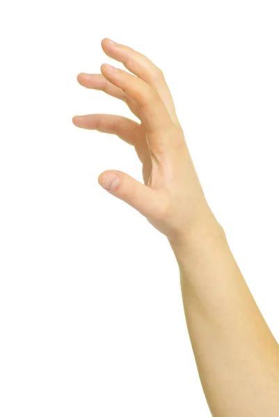 Mão Isolada Branco — Fotografia de Stock