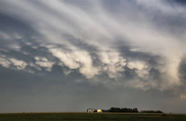 Storm Moln Saskatchewan Prärien Scen Canada Gård — Stockfoto