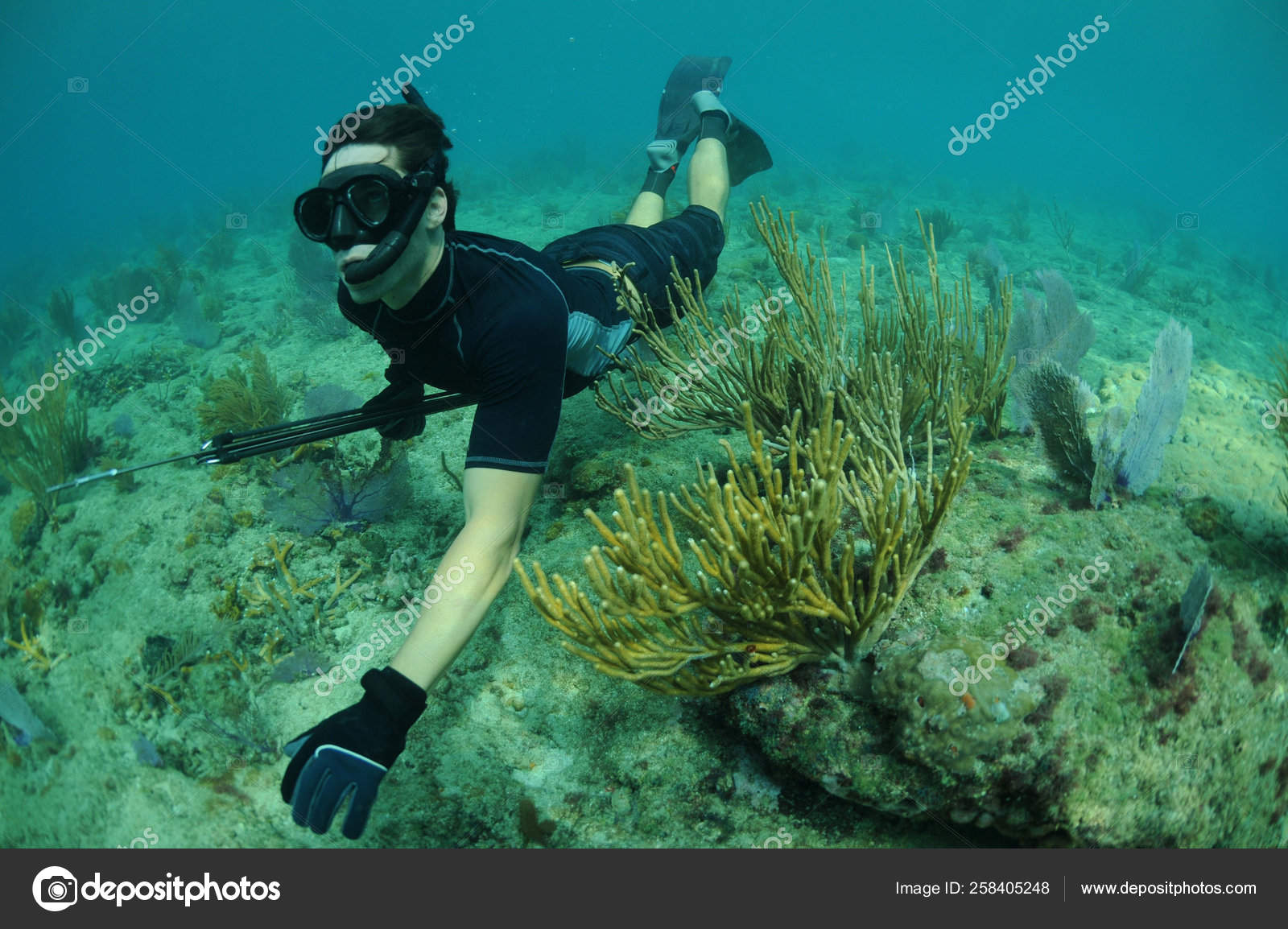 Man Freediving Speargun Underwater Seascape Stock Photo by ©YAYImages  258405248