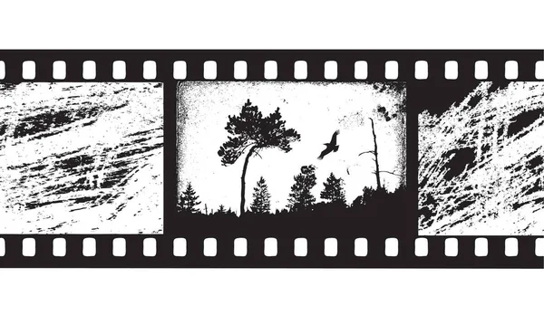 Camera Film Cinema Concept — Stockfoto