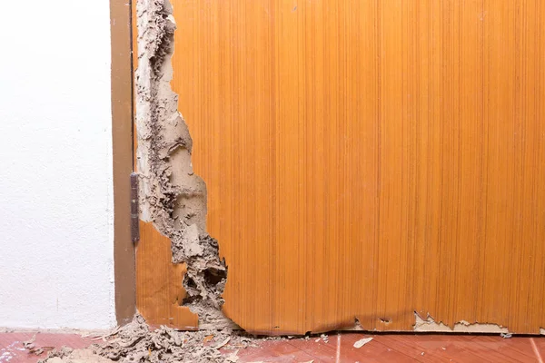 the wood door with termites damage