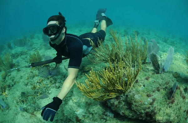 Uomo Che Apnea Con Fucile Paesaggio Marino Sottomarino — Foto Stock