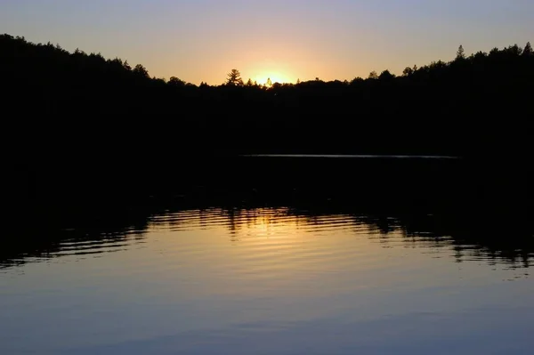 Puesta Sol Hermoso Lago Algonquin Park —  Fotos de Stock