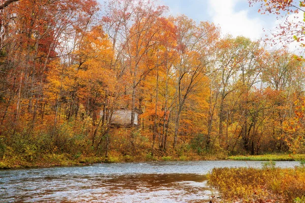 秋天或秋天美丽的密苏里风景 — 图库照片