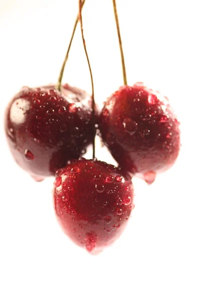 Cherrys Ένα Φόντο — Φωτογραφία Αρχείου
