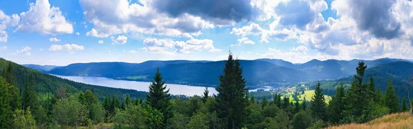 Sumer Landschap Groene Velden Blauwe Hemel — Stockfoto