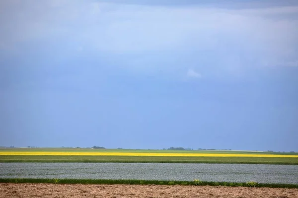 Καλλιέργειες Σιτηρών Στο Γραφικό Saskatchewan — Φωτογραφία Αρχείου