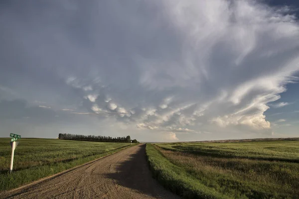 Storm Moln Saskatchewan Prärien Scen Canada Gård — Stockfoto