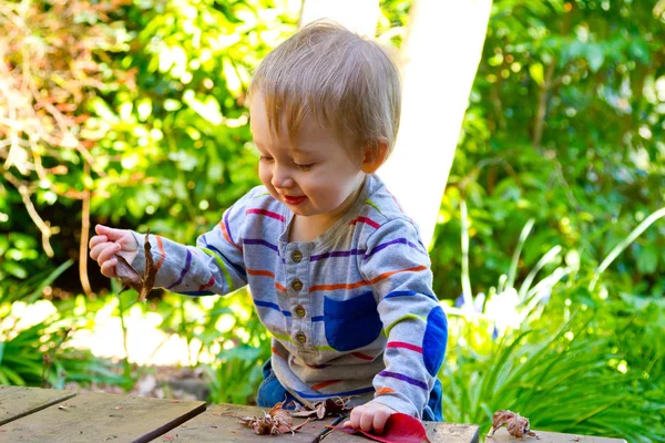 Very Curious One Year Old Toddler Boy Explores His Backyard — Stock Photo, Image