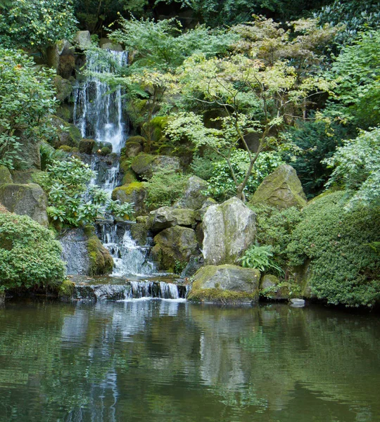 Ιαπωνικός Καταρράκτης Κήπου Αδειάζει Πράσινη Λίμνη — Φωτογραφία Αρχείου