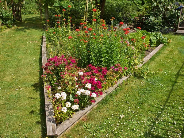 Απολαυστικό Ανθισμένο Κρεβάτι Λουλουδιών Μια Πίσω Αυλή Στον Κήπο — Φωτογραφία Αρχείου
