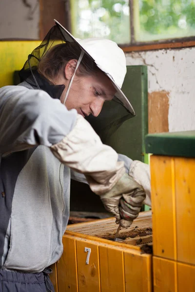 Beekeeper Apiary Holding Frame Honeycomb Covered Swarming Bees — Stock Photo, Image