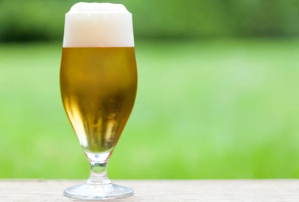 Elegantes Glas Kaltes Erfrischendes Bier Fassbier Oder Pils Mit Schäumend — Stockfoto