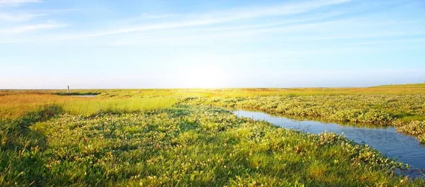 Idyllic Lawn Stream Sunlight — Stock Photo, Image