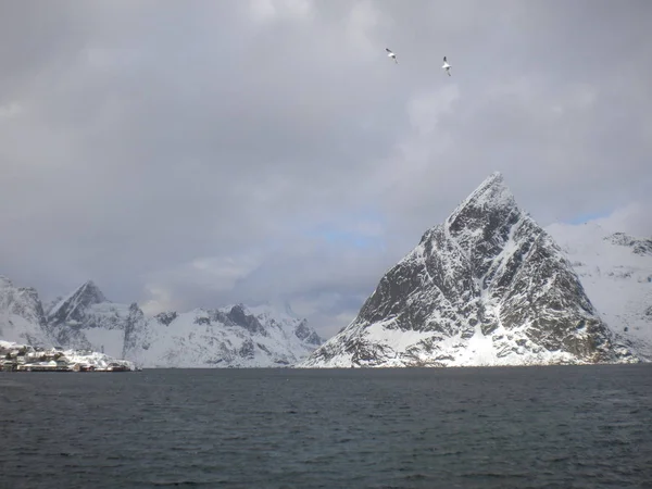 Lofoten Norway Beautiful Nature — Stock Photo, Image