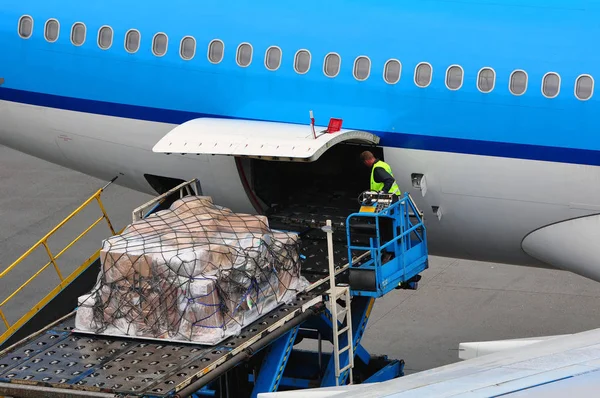 Air transportation: airplane loading cargo