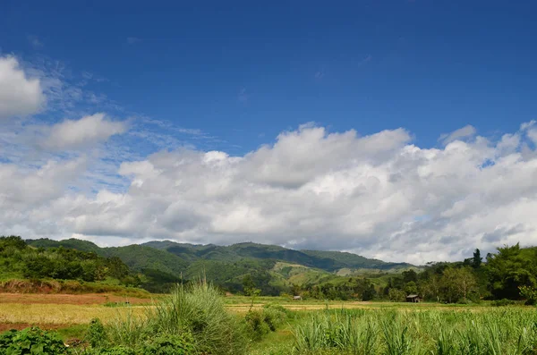 Prachtige Berglandschap Chiang Rai Thailand — Stockfoto