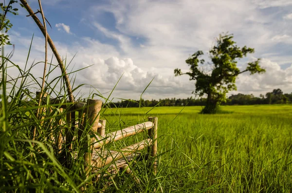 Bambusové Dřevěné Židle Louky Krajině Thajsko — Stock fotografie