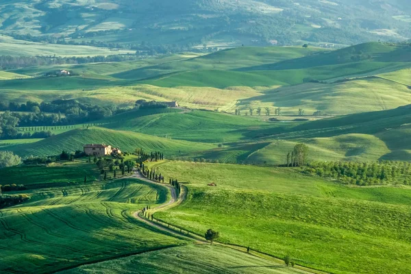 Campagna Della Val Orcia Vicino Pienza Toscana — Foto Stock