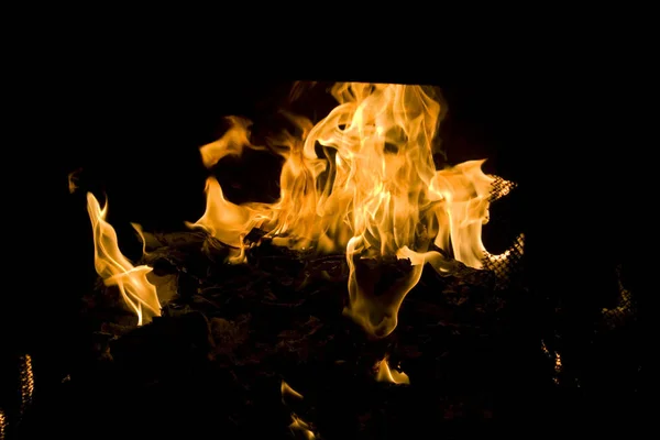 Flammer Ild Peis – stockfoto