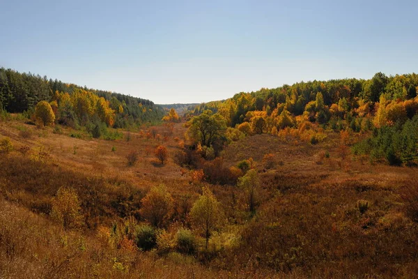 Höstens Kullarna Ryssland Med Träd Och Buskar — Stockfoto
