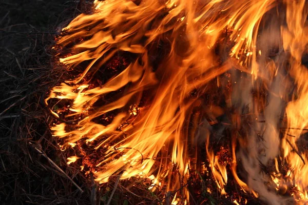 Тіло Полум Запалення Лісі — стокове фото