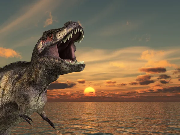 Een Tyrannosaurus Rex Brullende Bij Een Zonsopgang — Stockfoto